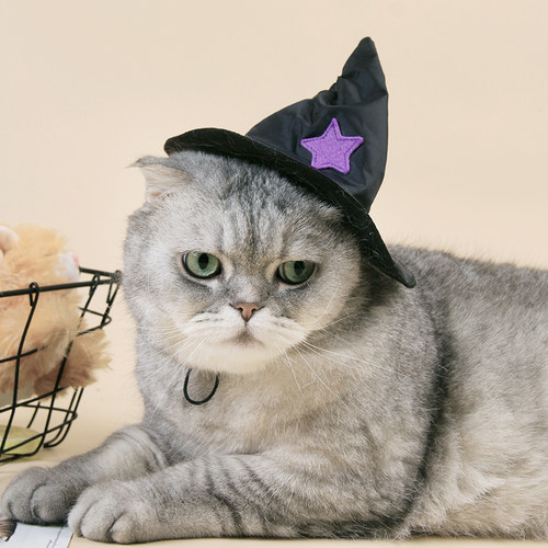 猫咪狗狗紫星帽子可爱披风衣服