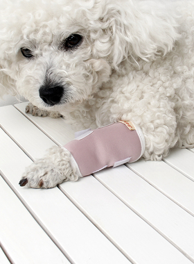 狗狗护膝护腿宠物户外关节炎金毛手术受伤防舔约束活动量护脚套