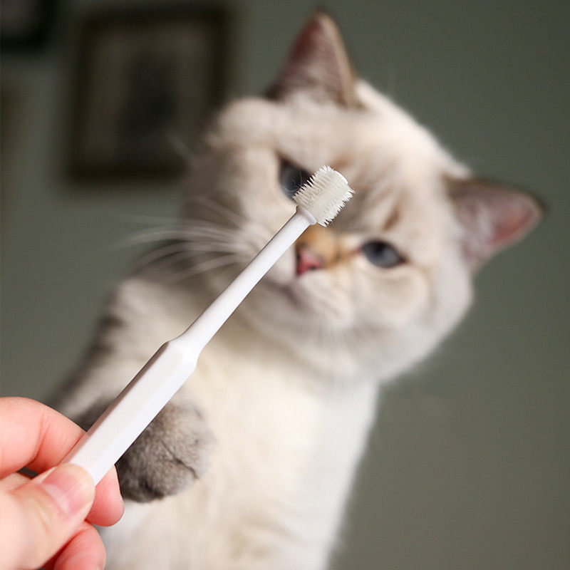 宠物狗狗猫咪牙刷360度口腔清洁牙齿改善清洁牙石牙膏