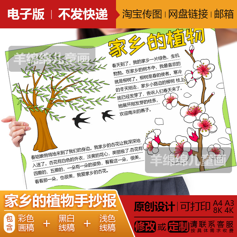 家乡的植物手抄报模板电子版黑白线稿打印涂色春天柳树杏花儿童画
