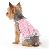 宠物衣服春夏季 小型犬泰迪比熊博美猫咪可爱网红外出透气服饰 新款