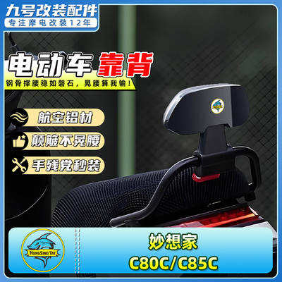 适用于九号电动车靠背C80C/C85C后靠垫专车专用扶手护腰改装配件