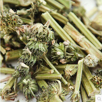 聚惠堂益母草500g益母草茶免费磨益母草粉包邮中药材
