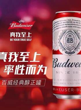 罐装经典醇正易拉罐啤酒