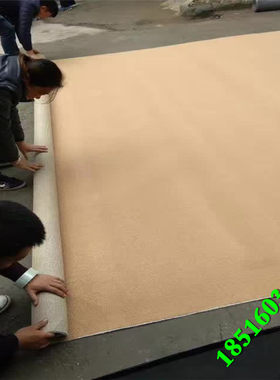 舞蹈室防火网格酒红色圈绒地毯