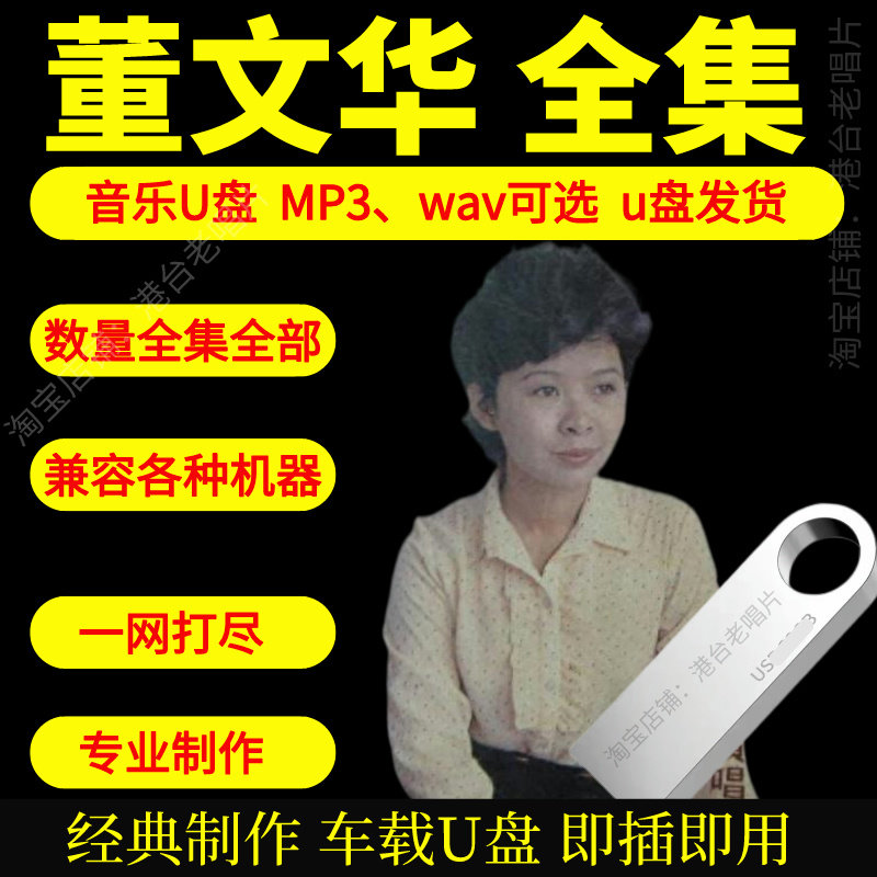 董文华音乐U盘出道至今全集专辑大全高品质MP3无损音质车载U盘新图片