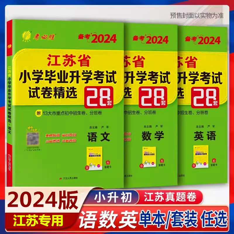 2024江苏小学毕业升学考试28套卷