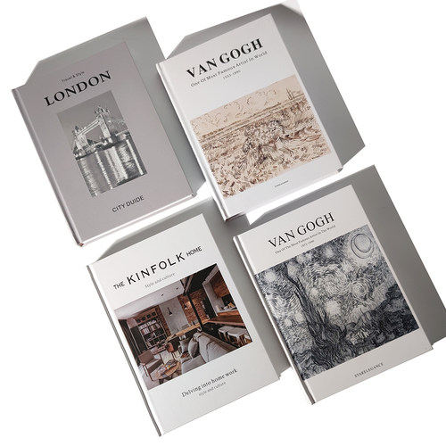 简约现代风样板房摆件英文仿真书