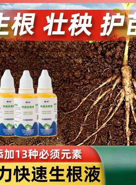 佰花禧快速生根液粉剂移栽扦插生根水营养液植物通用强力多肉壮苗