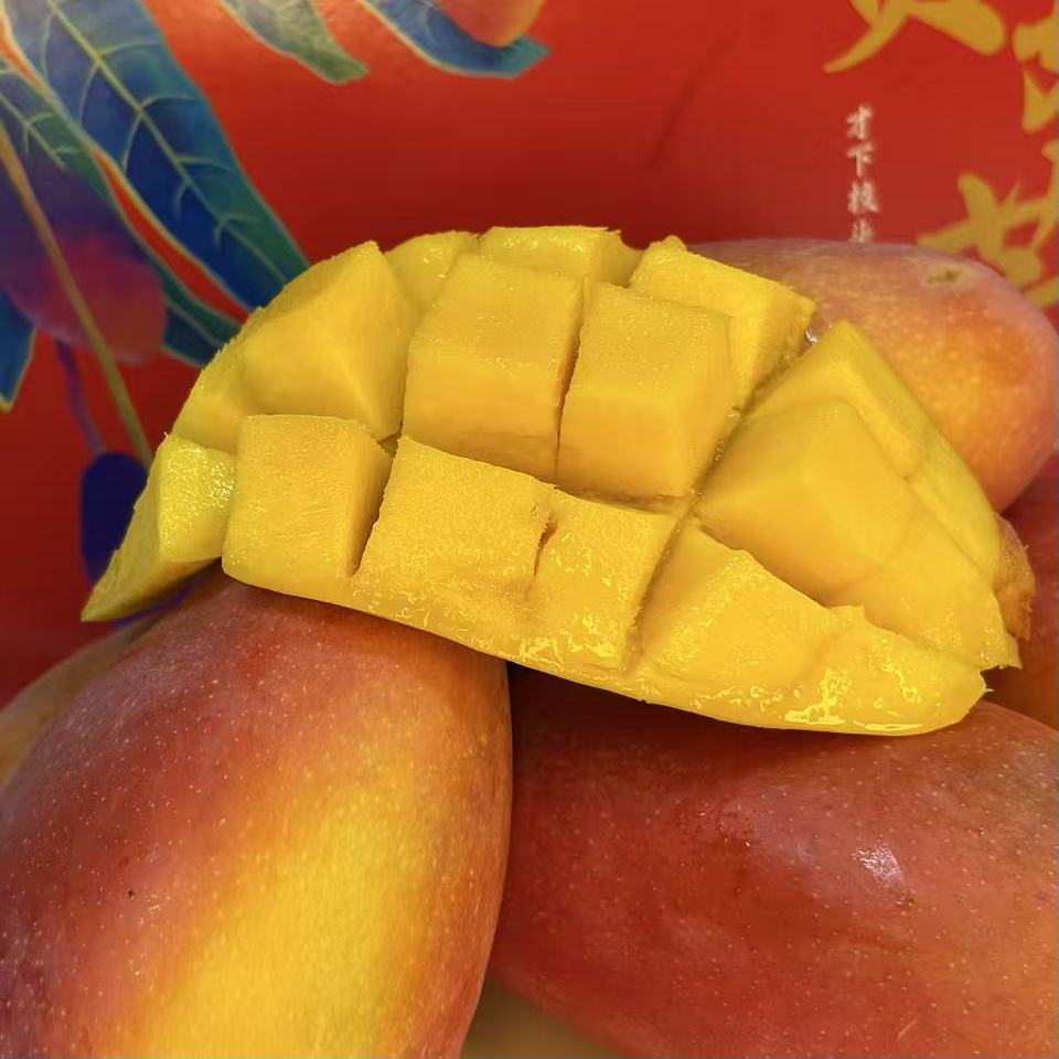攀枝花 贵妃芒 新鲜水果 产地直销 现摘现发 精品大果 感恩回馈