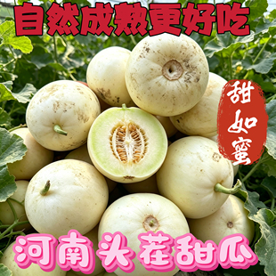 河南甜瓜新鲜水果当季蜜瓜小白瓜蜜香瓜农家自种小籽