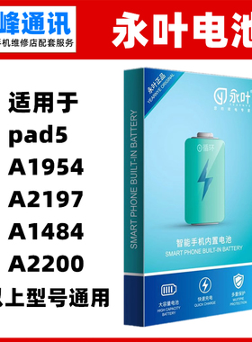 永叶 适用iPad A1954 A2197 A1484 A2200内置电池 电板