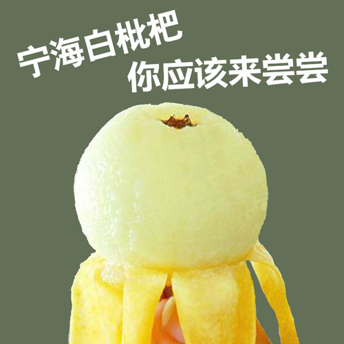 【顺丰直达】宁海白枇杷5斤大果