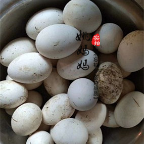 农家收购土鹅蛋12枚青草粮食喂养的土鹅蛋