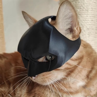 蝙蝠侠猫咪宠物面具搞怪面罩头饰COS拍照道具创意头套猫咪玩具