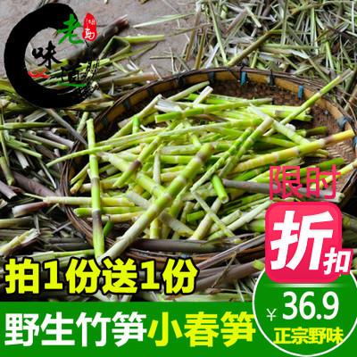水竹笋新鲜野生春笋小竹笋5/10斤农家手剥竹笋现挖广东高山嫩甜笋