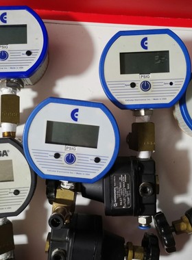 美国CECOMP DPG1000B15PSIG-5数字压力表