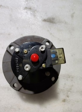 SUNZME  Ⅴ3630501  V8153118活塞式脉