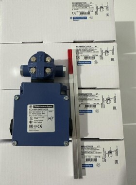 施耐德十字限位开关XCKMR54D1H29 XCKVR54D