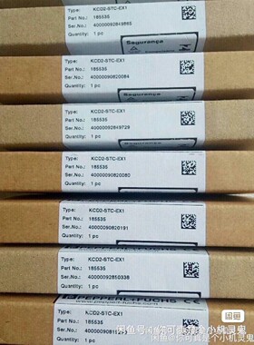 全新原装进口倍加福安全栅KCD2-STC-EX1有120个