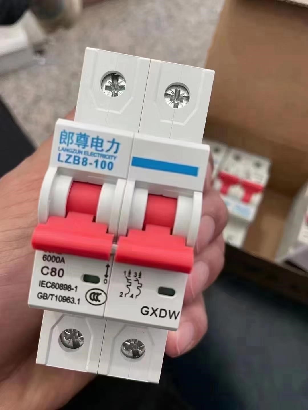 郎尊电力 尊享高品质 紫铜银点小体微断2p80A 单价7元