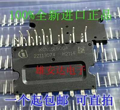 IGCM15F60GAIKCM15L60GA