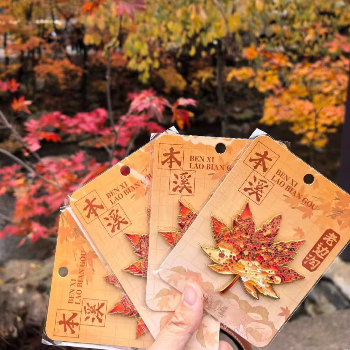 辽宁本溪老边沟枫叶亚克力冰箱贴