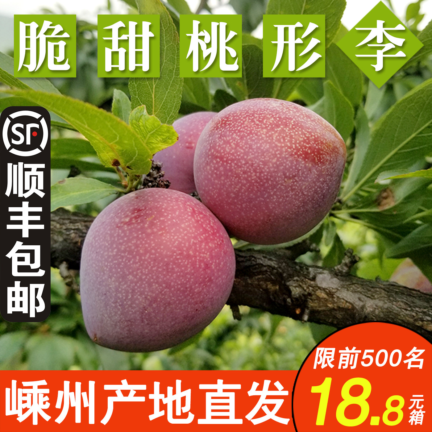 正宗嵊州金庭桃形李子新鲜水果浙江脱骨红心三华李5斤脆甜桃型李