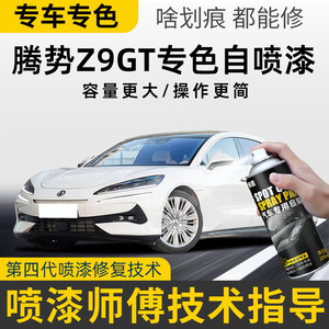 专车专色划痕修复自喷漆