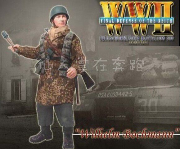 1 6兵人 威龙70333  可动人偶/兵人/雕像