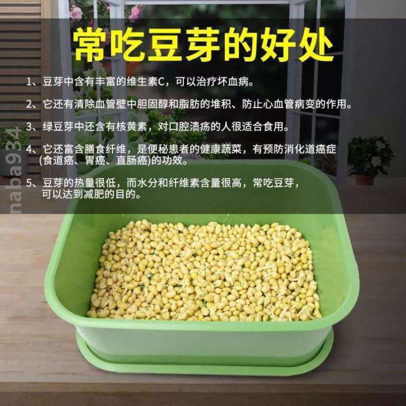 豆芽豆芽机发神器专用箱罐生发种菜豆芽豆芽菜黄豆芽绿豆芽大容量