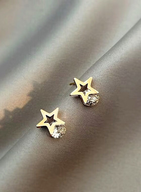 钛钢不掉色耳环网红冷淡风耳饰品女气质简约五星锆石防过敏耳钉