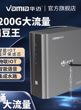 华迈P130E款（1200G）扁豆王纯水机家用智能语音无罐直饮 双出水