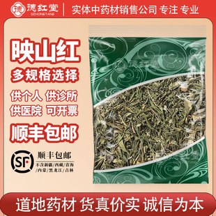 德红堂映山红中药材别名山石榴山踯躅山鹃中草药满山红