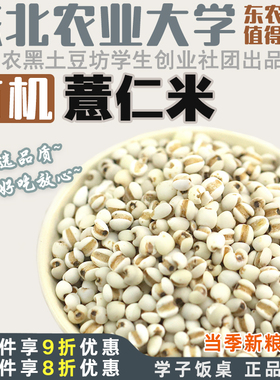 学子饭桌有机薏仁米新鲜意米可搭红豆薏苡仁五谷杂粮小薏米仁新货