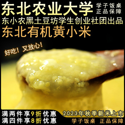 香糯粘稠有机黄小米学子饭桌