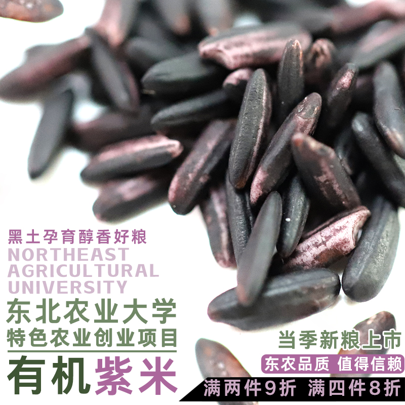 学子饭桌有机紫糯米新米