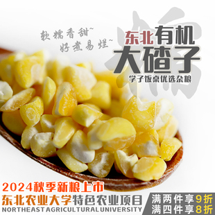 学子饭桌有机东北粘糯玉米碴子大粒黏苞米玉米糁大碴子粥原料新货