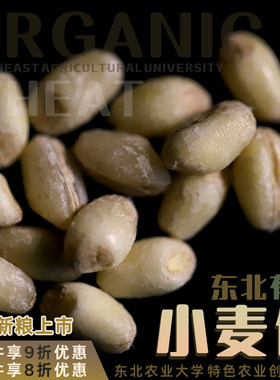 学子饭桌有机小麦仁米新货