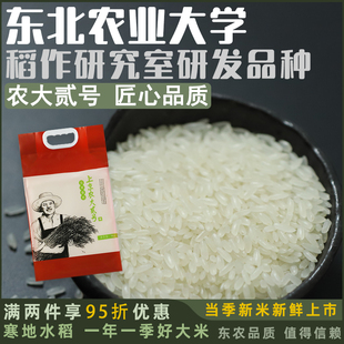 东北农大稻作研究室研发大米5kg黑龙江长粒粳米家2025新米10斤装
