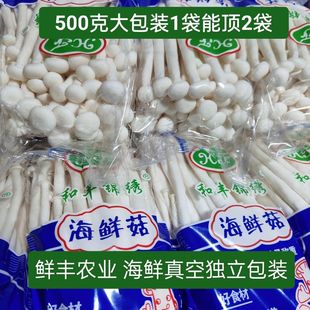 基地直发海鲜菇1斤独立包装 新鲜食用菌菇蘑菇海鲜菇鲜嫩口营养