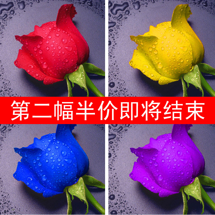 5d方圆小幅钻石画十字卧室滴水