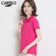 短袖 卡帝乐鳄鱼POLO衫 女夏季 t恤纯棉保罗宽松运动翻领休闲上衣潮