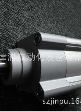 DSBC-40-30-PPSA-N3 2123781 FESTO标准气缸