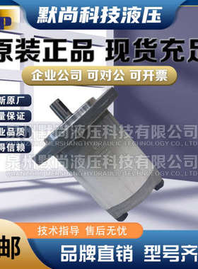 韩国液压泵ASEDA齿轮泵SAP10-1.0 SAP20-4 SAP0.5D-0.50高压油泵