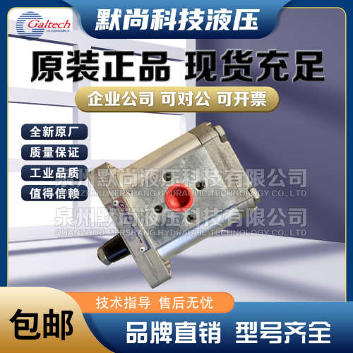 高泰克Galtech齿轮泵2SP160/190/220/260/310-D-EUR-B-N-10-0-G泵