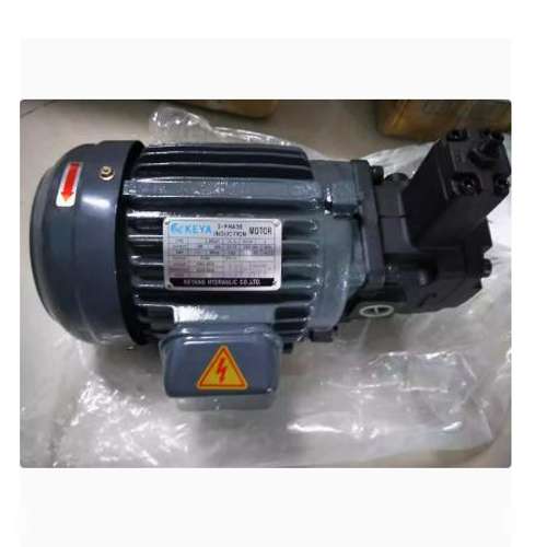 全新原装KEYA油泵专用电机马达0.75KW 1HP 卧式  减速机  齿轮箱