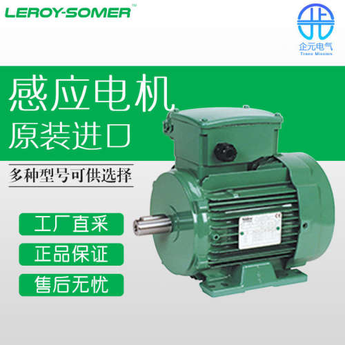 德国 LEROY SOMER 感应电机 多型号可询 LS PR系列