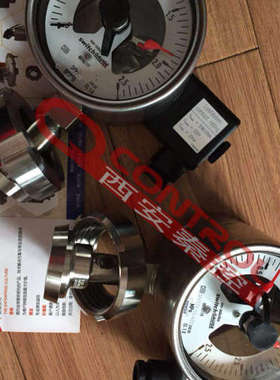 PGS23.160+821.21双点电接点压力表EN837-1