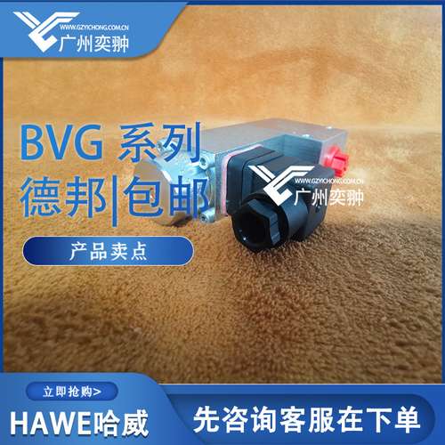 HAWE哈威进口BVG 1 RK-G 24-1/4截止式换向阀
